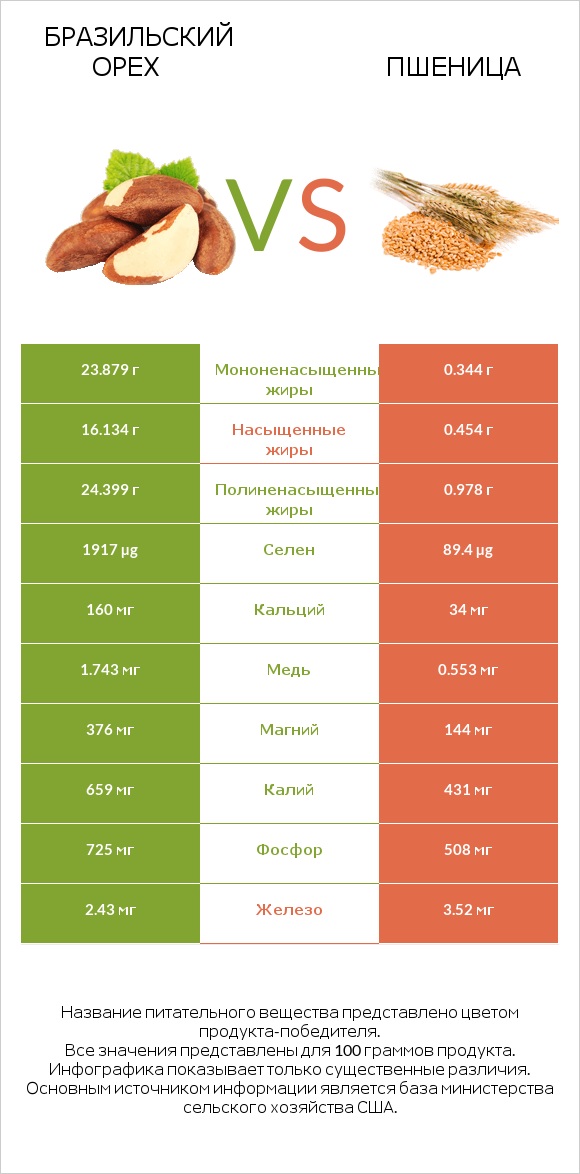 Бразильский орех vs Пшеница infographic