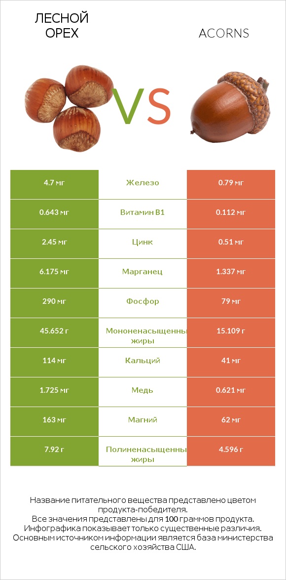 Лесной орех vs Acorns infographic