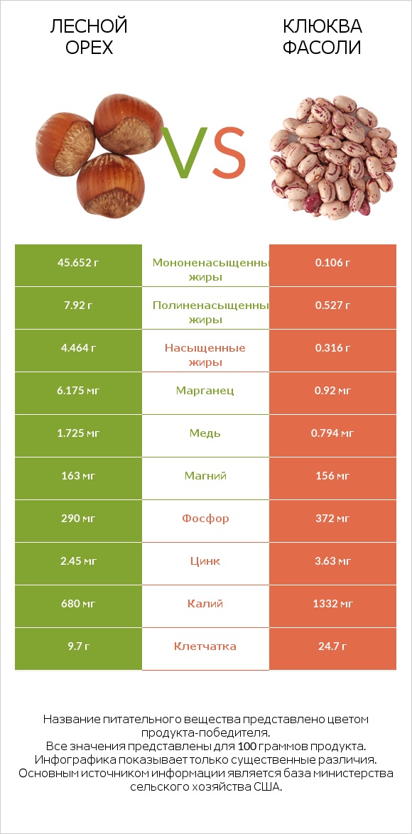 Лесной орех vs Клюква фасоли infographic