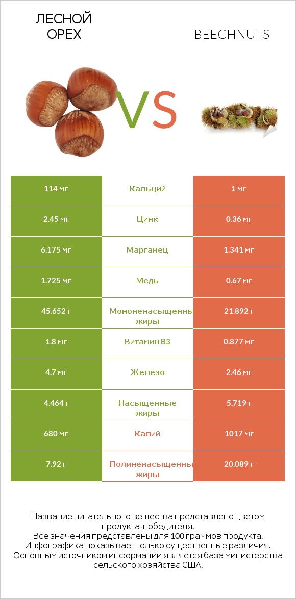 Лесной орех vs Beechnuts infographic