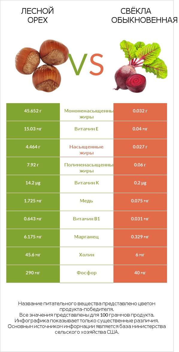 Лесной орех vs Свёкла обыкновенная infographic