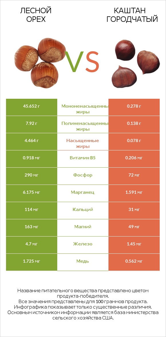 Лесной орех vs Каштан городчатый infographic