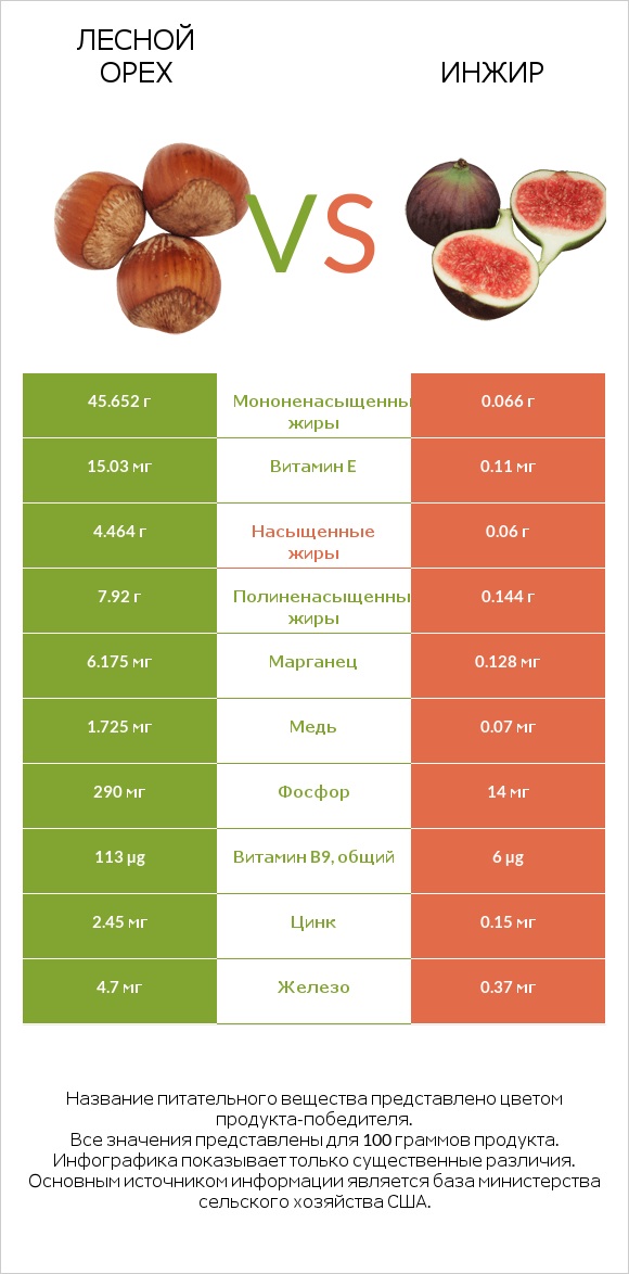 Лесной орех vs Инжир infographic