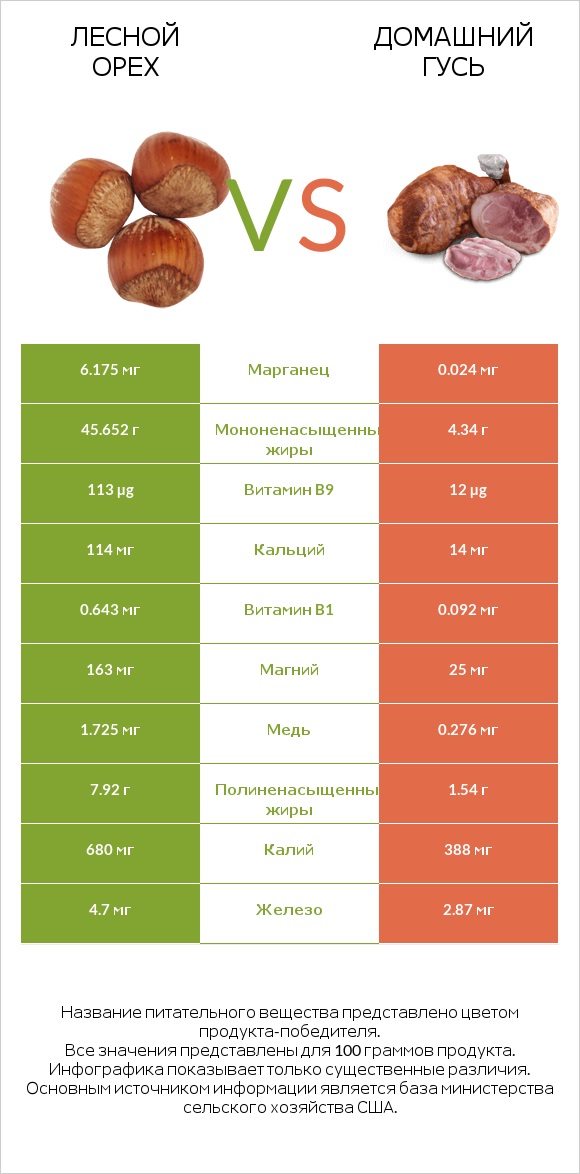 Лесной орех vs Домашний гусь infographic