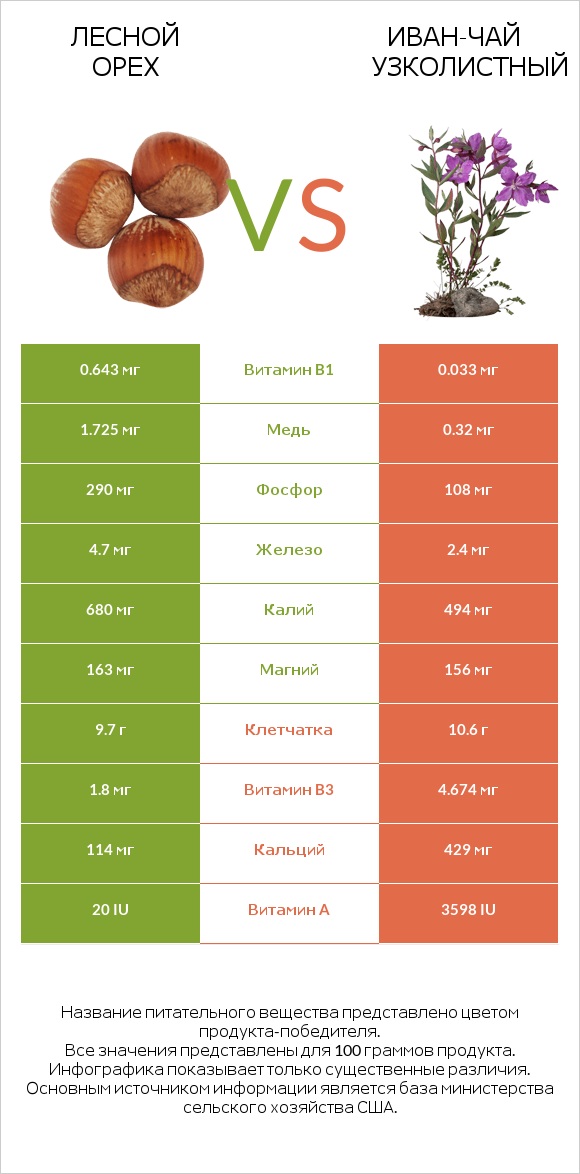 Лесной орех vs Иван-чай узколистный infographic