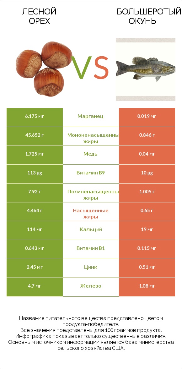 Лесной орех vs Большеротый окунь infographic