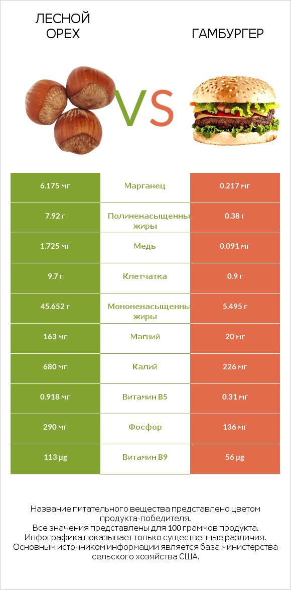 Лесной орех vs Гамбургер infographic