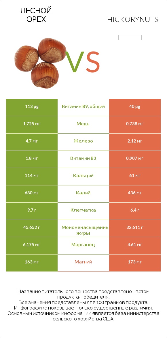 Лесной орех vs Hickorynuts infographic
