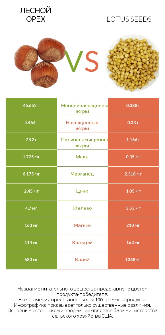 Лесной орех vs Lotus seeds infographic