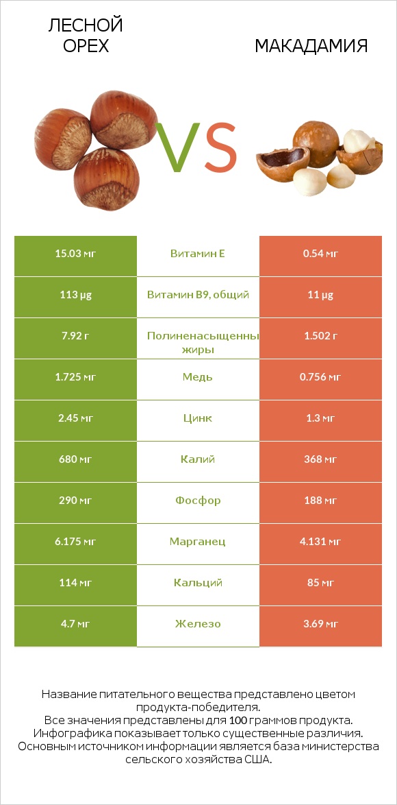 Лесной орех vs Макадамия infographic