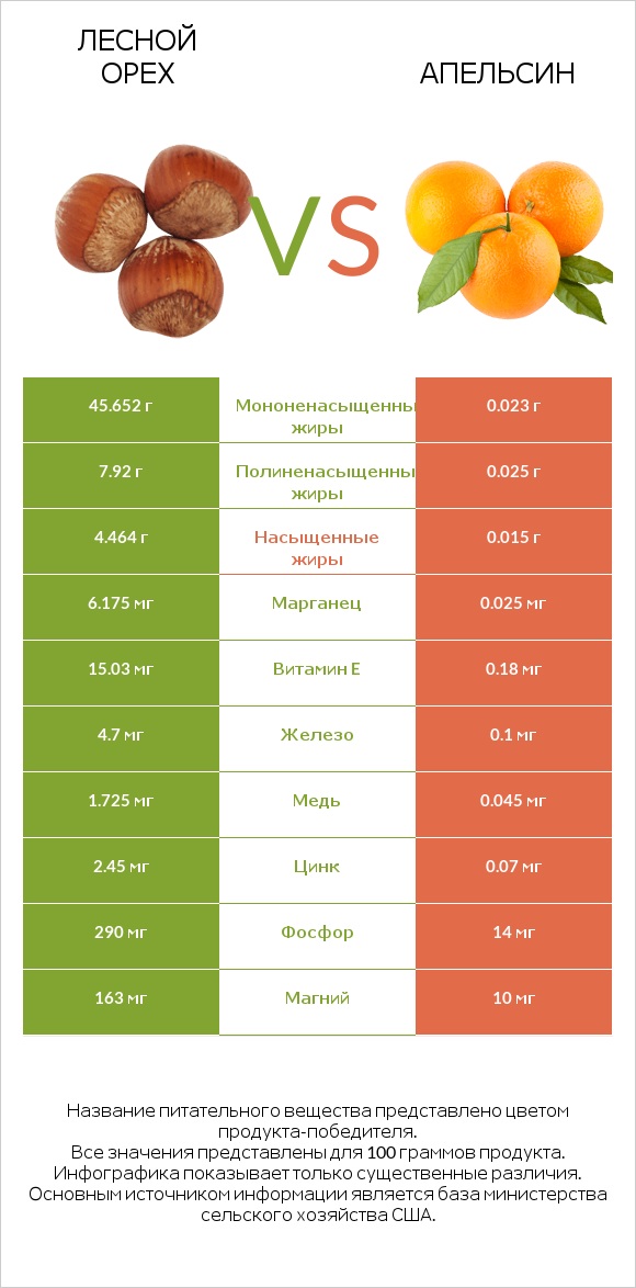 Лесной орех vs Апельсин infographic