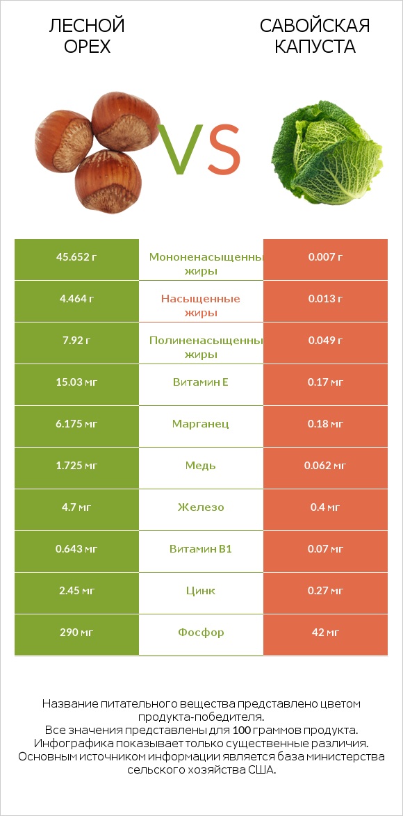 Лесной орех vs Савойская капуста infographic