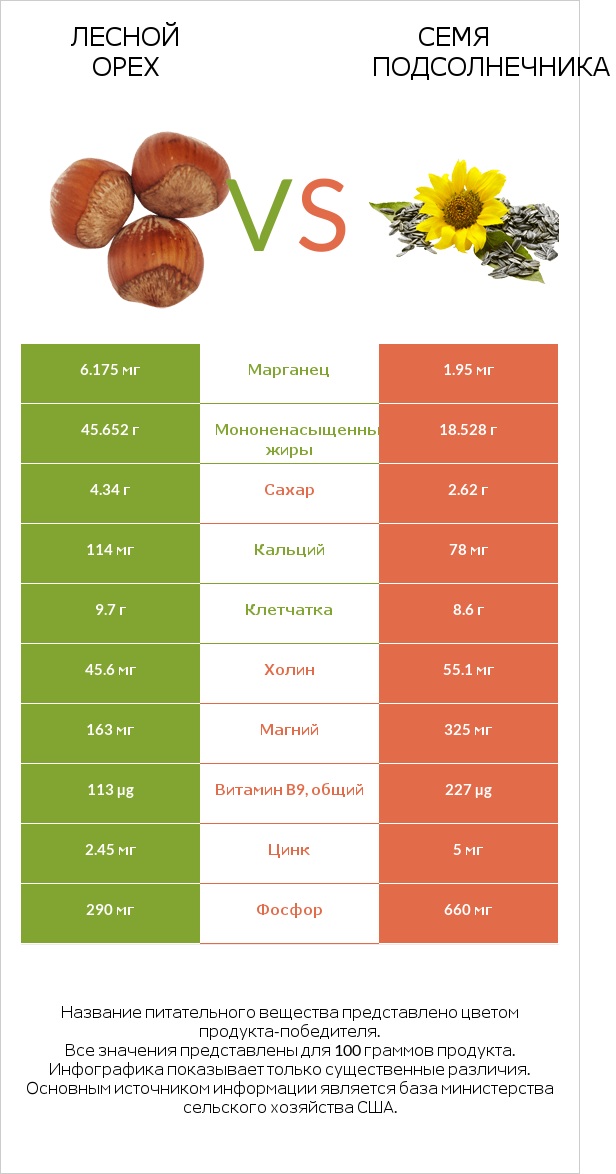 Лесной орех vs Семя подсолнечника infographic