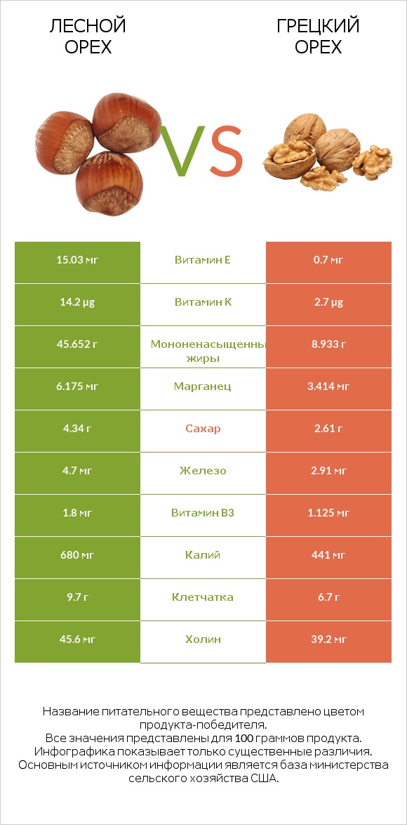 Лесной орех vs Грецкий орех infographic