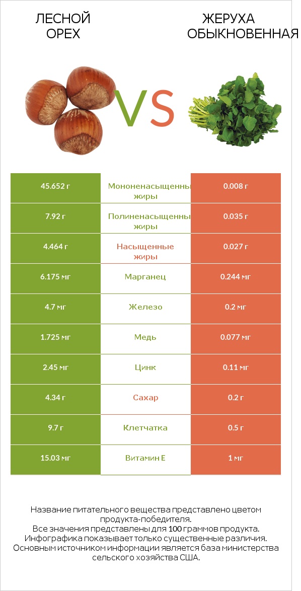 Лесной орех vs Жеруха обыкновенная infographic