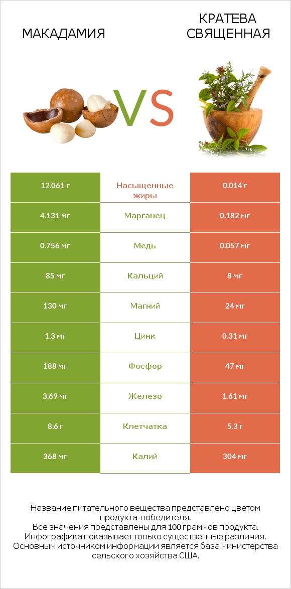 Макадамия vs Кратева священная infographic