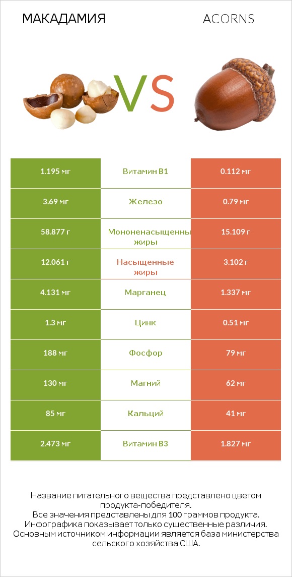 Макадамия vs Acorns infographic