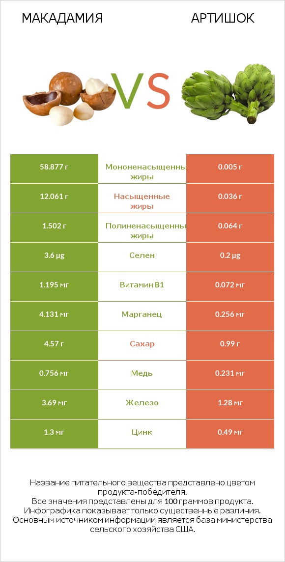 Макадамия vs Артишок infographic