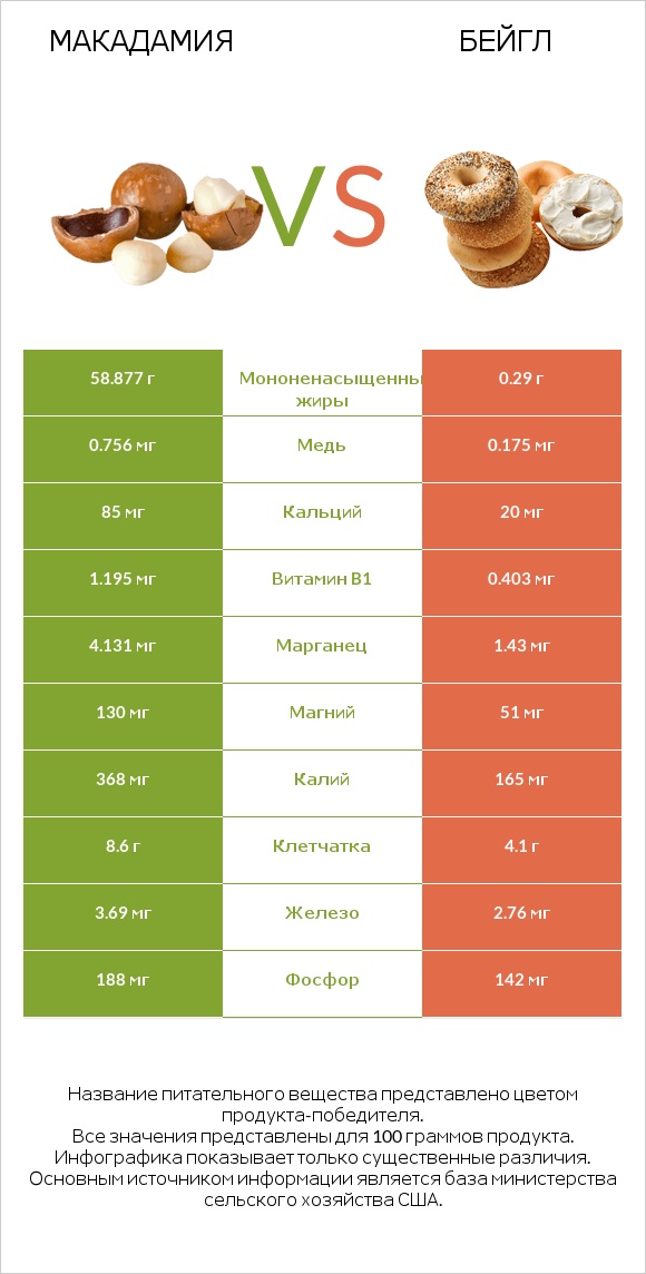 Макадамия vs Бейгл infographic