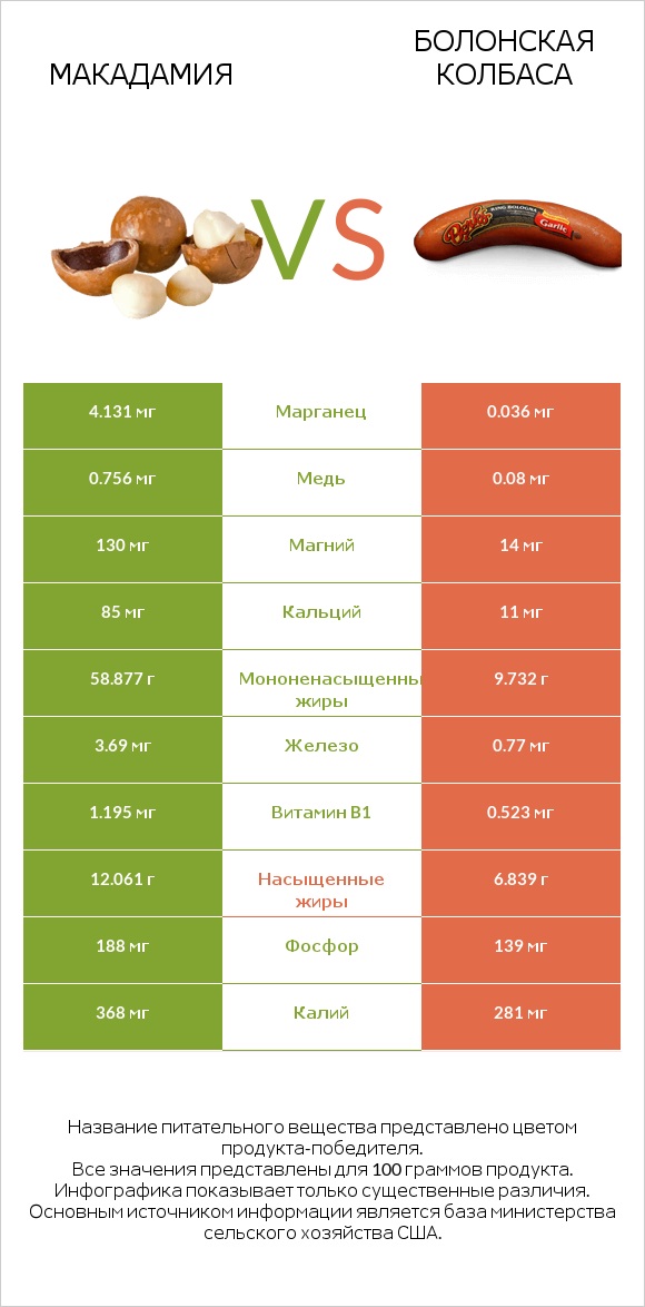 Макадамия vs Болонская колбаса infographic
