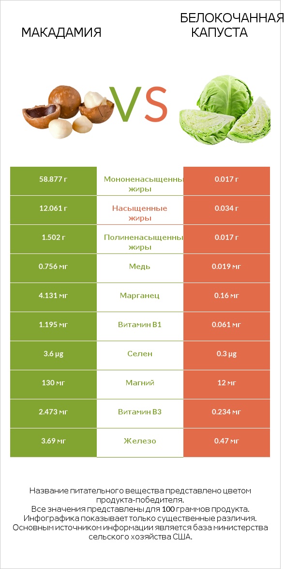Макадамия vs Белокочанная капуста infographic