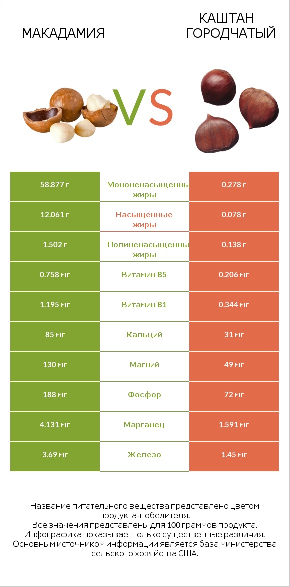 Макадамия vs Каштан городчатый infographic