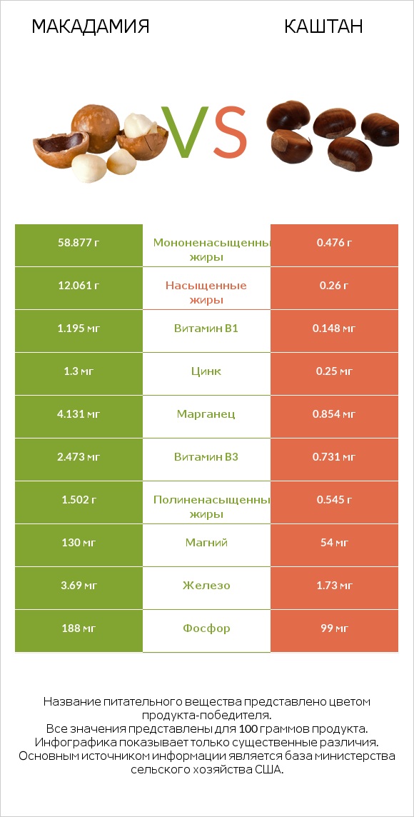 Макадамия vs Каштан infographic