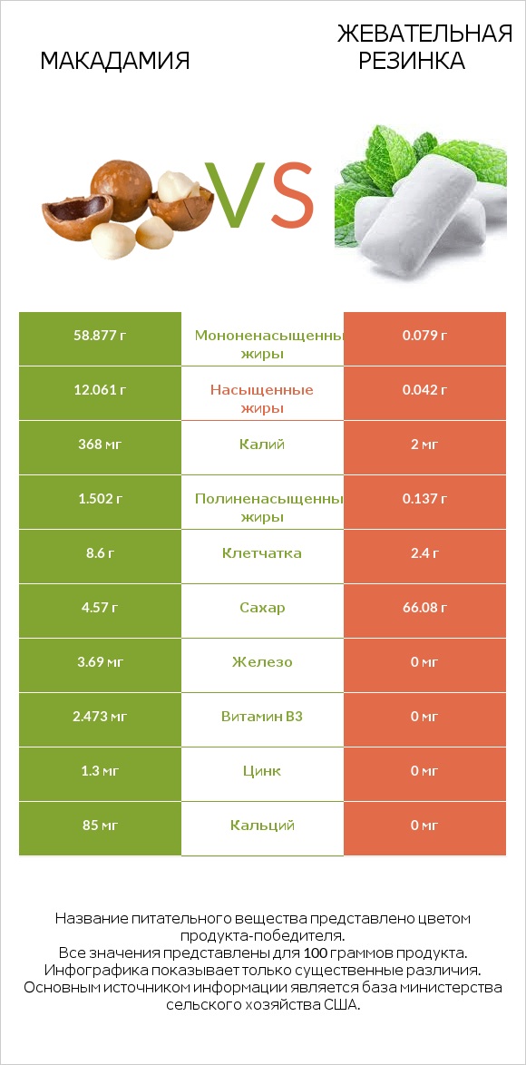 Макадамия vs Жевательная резинка infographic