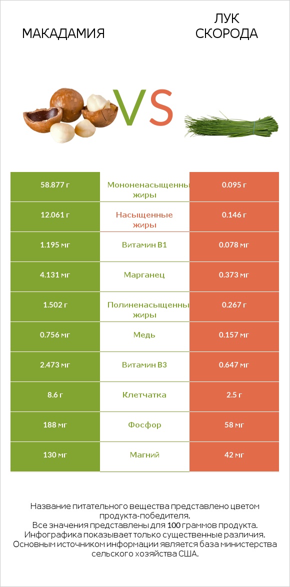 Макадамия vs Лук скорода infographic