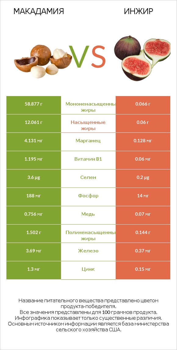Макадамия vs Инжир infographic