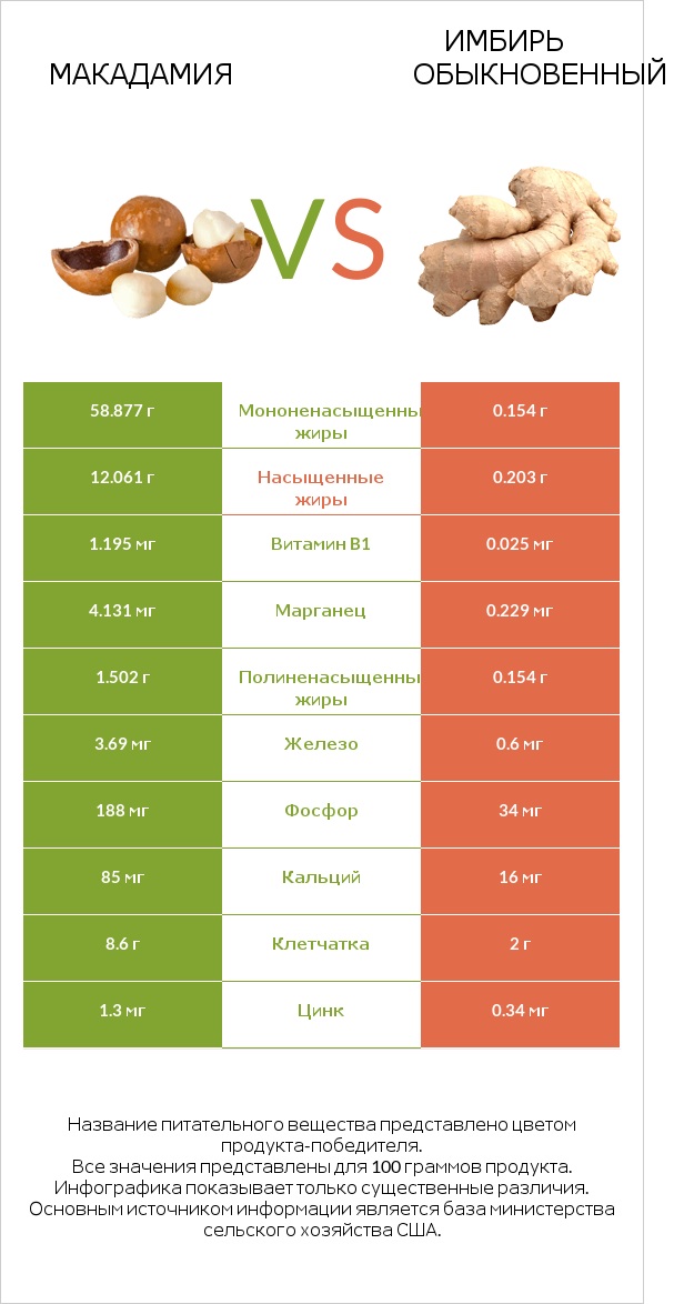 Макадамия vs Имбирь обыкновенный infographic