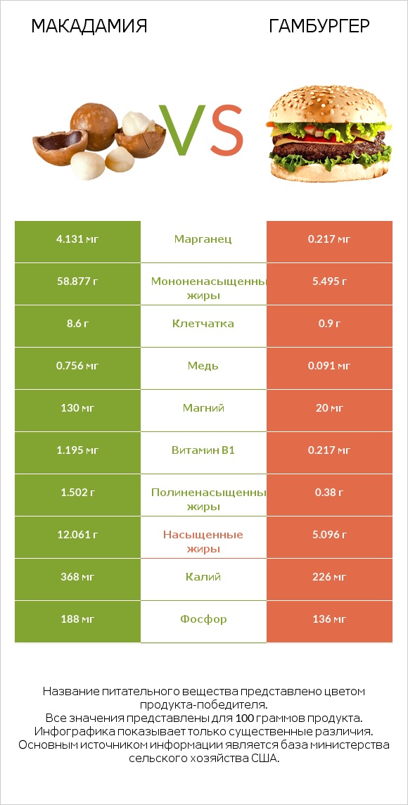 Макадамия vs Гамбургер infographic