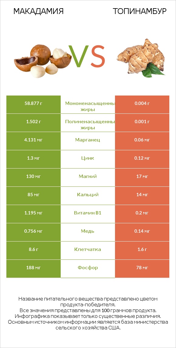 Макадамия vs Топинамбур infographic