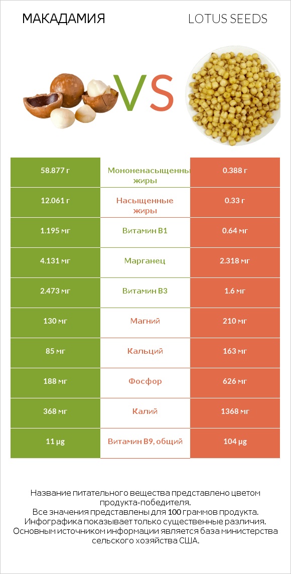 Макадамия vs Lotus seeds infographic
