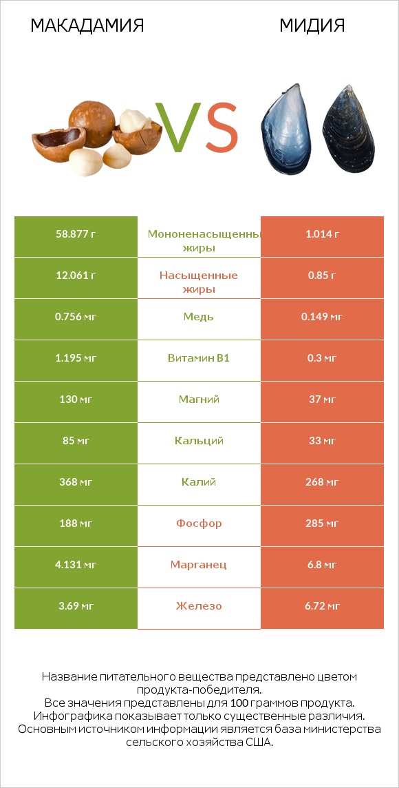 Макадамия vs Мидия infographic