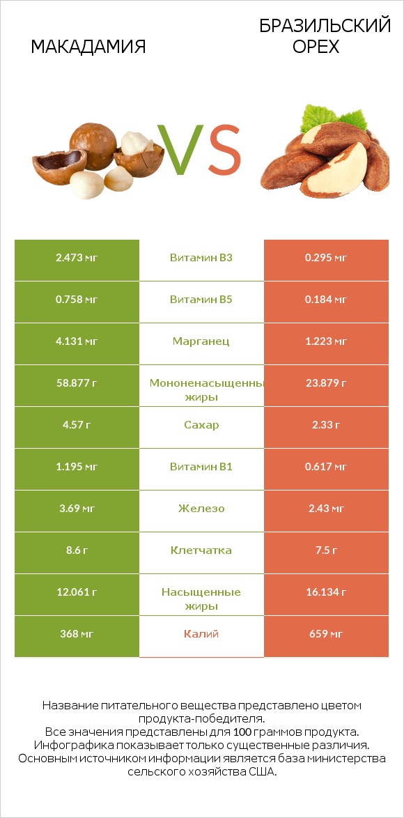 Макадамия vs Бразильский орех infographic