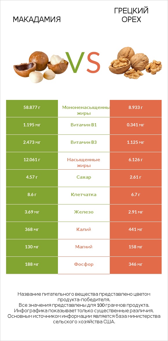 Макадамия vs Грецкий орех infographic