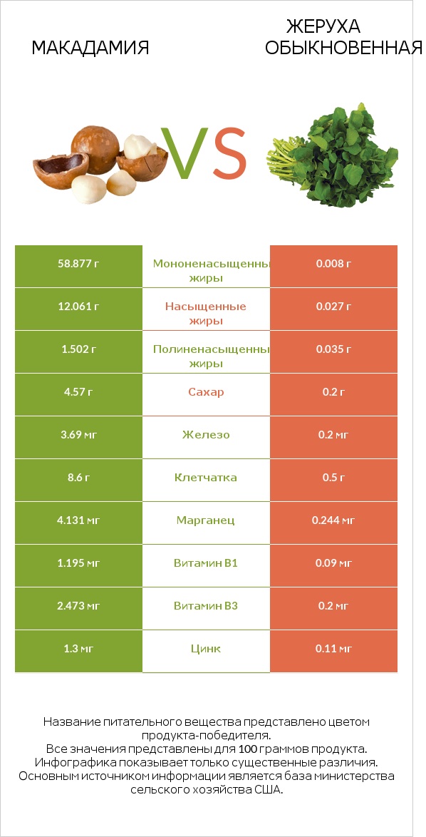 Макадамия vs Жеруха обыкновенная infographic