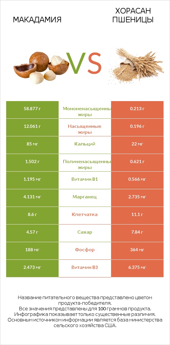 Макадамия vs Хорасан пшеницы infographic