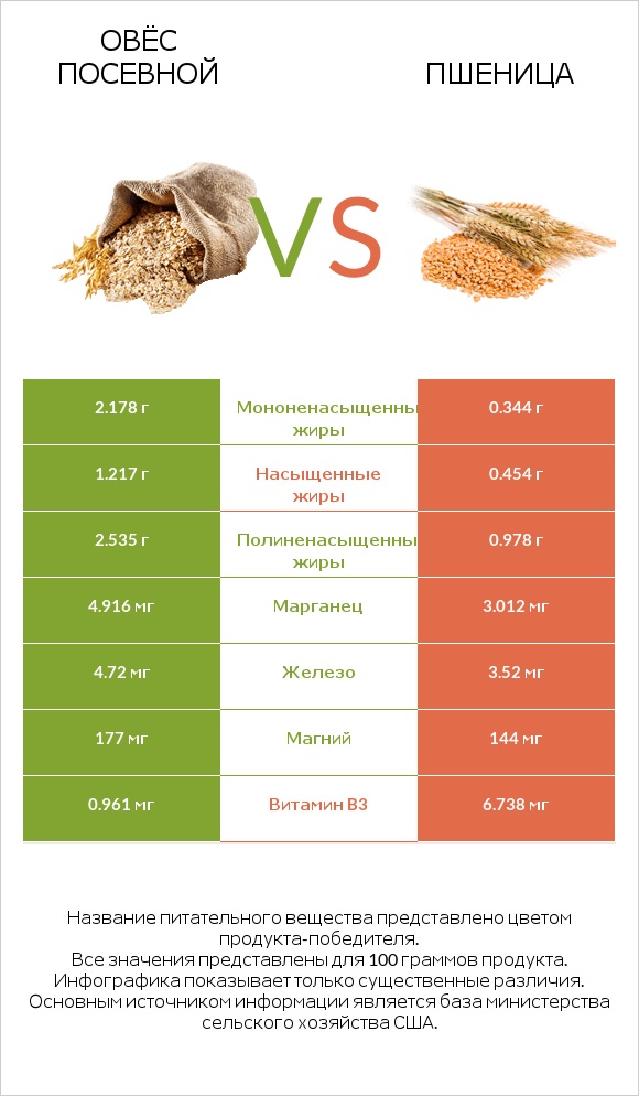 Овёс посевной vs Пшеница infographic