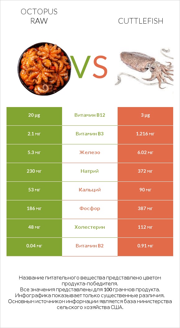 Octopus raw vs Cuttlefish infographic