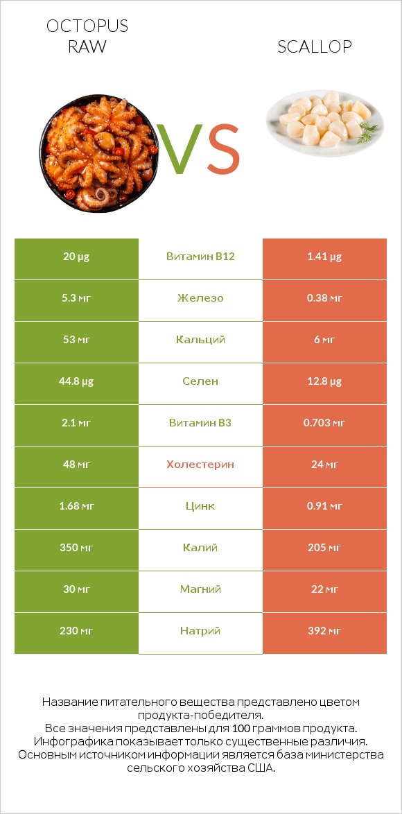 Octopus raw vs Scallop infographic