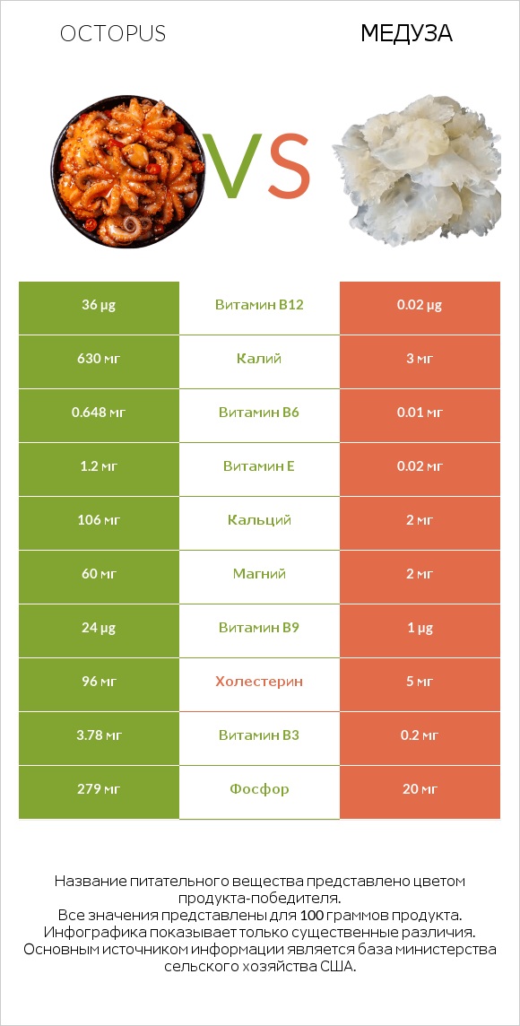 Octopus vs Медуза infographic