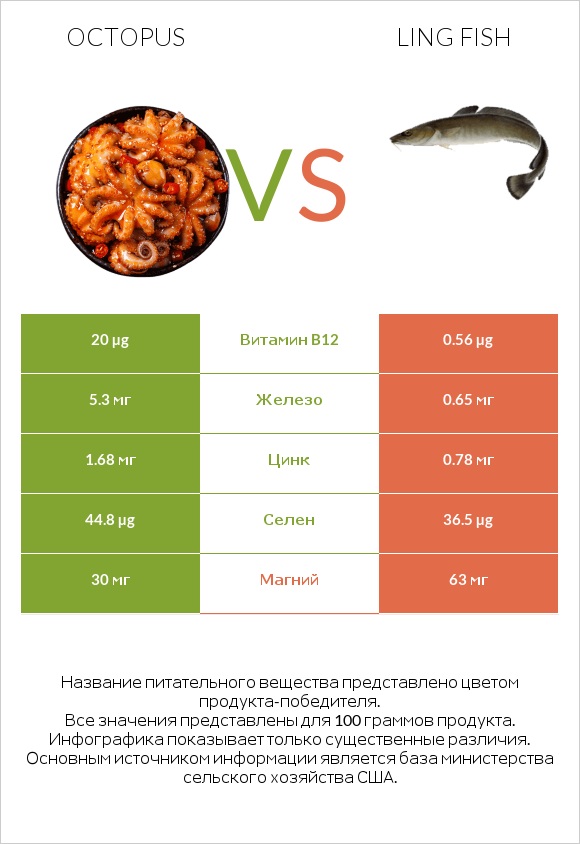 Octopus vs Ling fish infographic