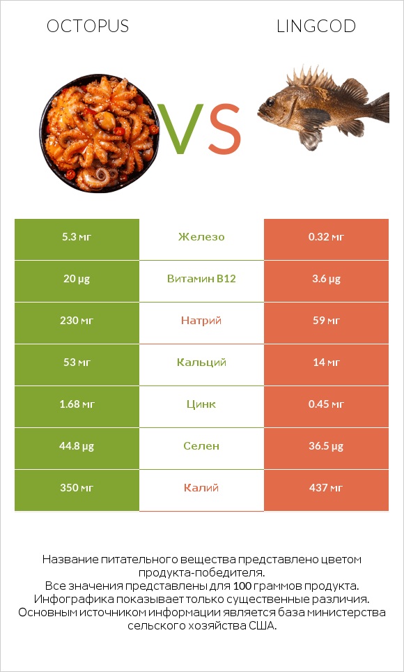 Octopus vs Lingcod infographic