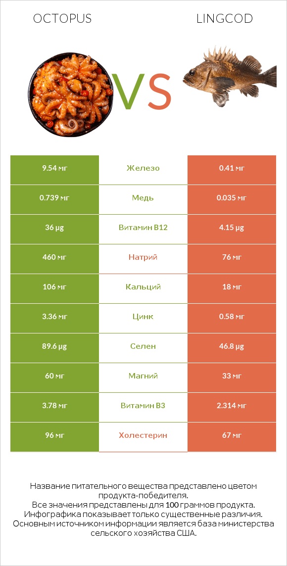 Octopus vs Lingcod infographic