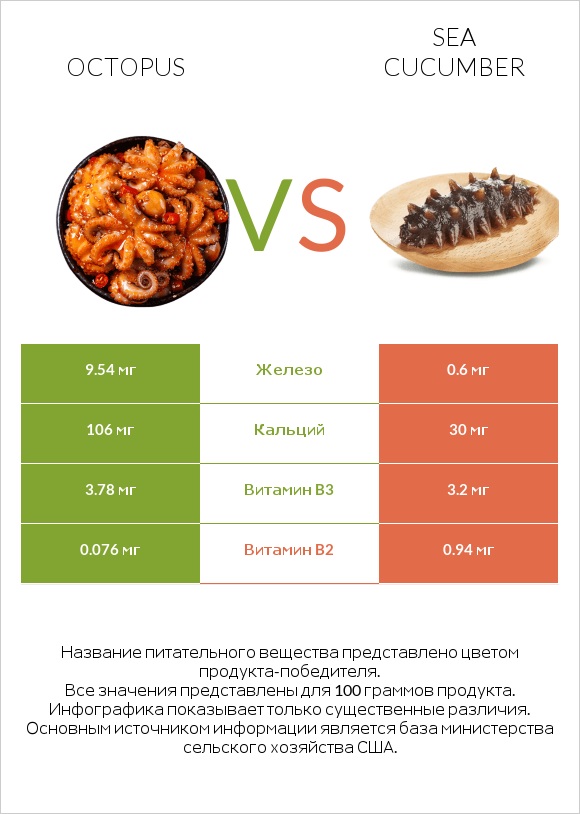 Octopus vs Sea cucumber infographic