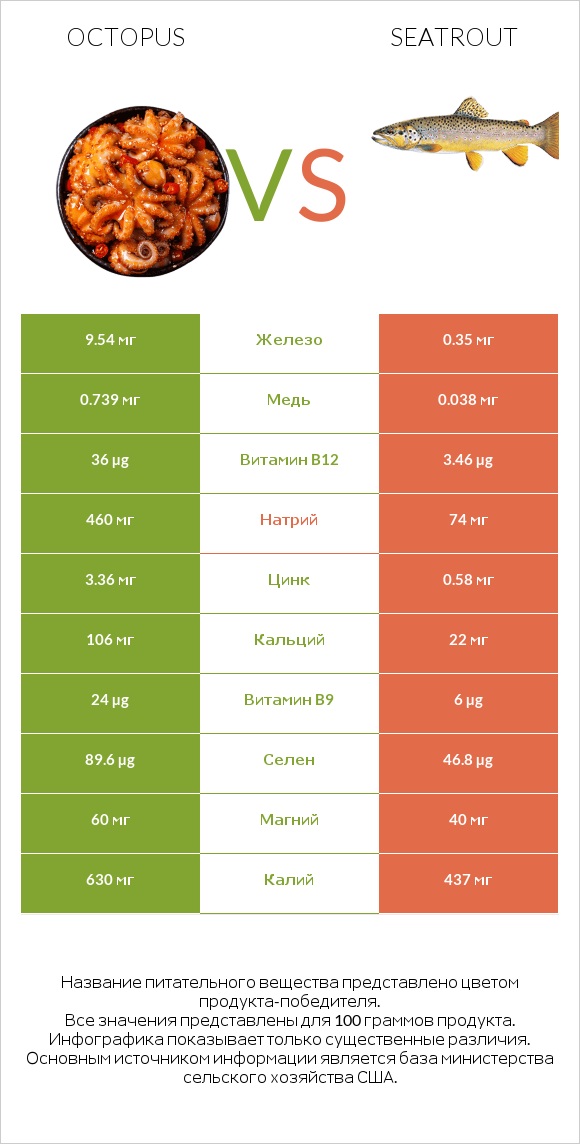 Octopus vs Seatrout infographic