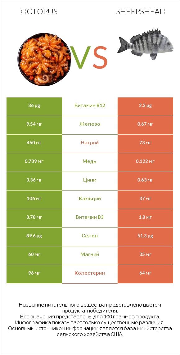 Octopus vs Sheepshead infographic