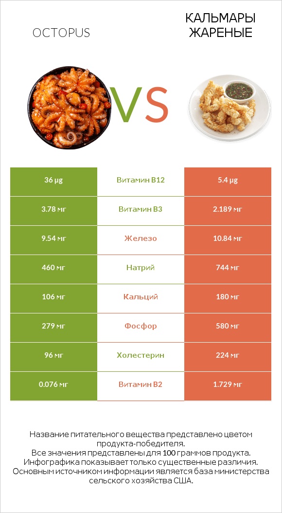 Octopus vs Кальмары жареные infographic